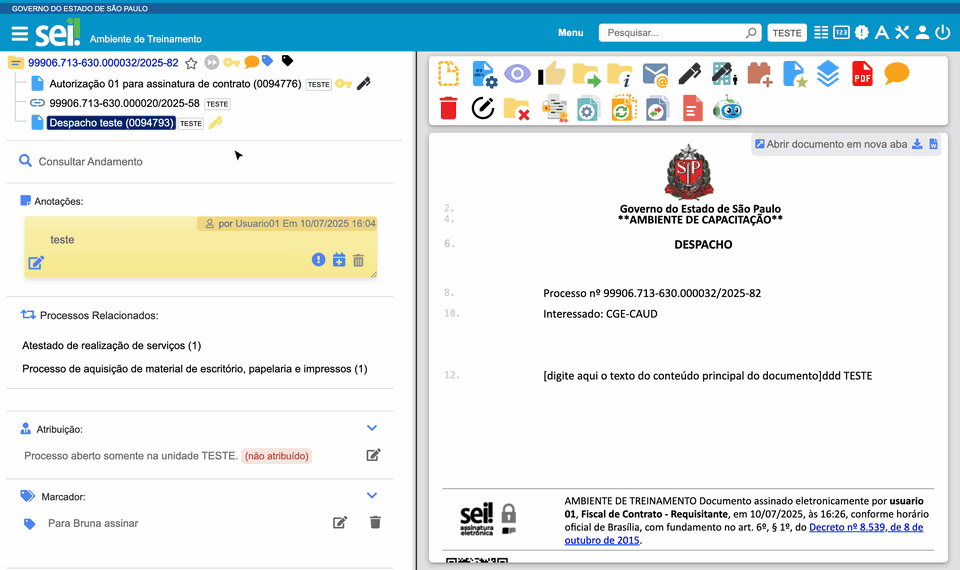 Tela Capa do processo